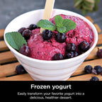 Ninja Ice Cream Maker with 7 One Touch Programs for Gelato Milkshakes Sorbet Smoothie Bowls
