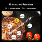Typhur WiFi Wireless Meat Thermometer Digital with 2 Probes LCD Display for BBQ Grill Oven